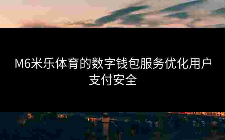M6米乐体育的数字钱包服务优化用户支付安全