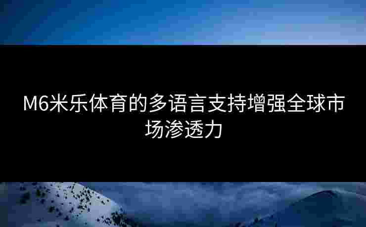 M6米乐体育的多语言支持增强全球市场渗透力