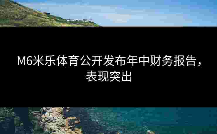 M6米乐体育公开发布年中财务报告，表现突出