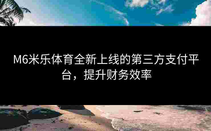 M6米乐体育全新上线的第三方支付平台，提升财务效率