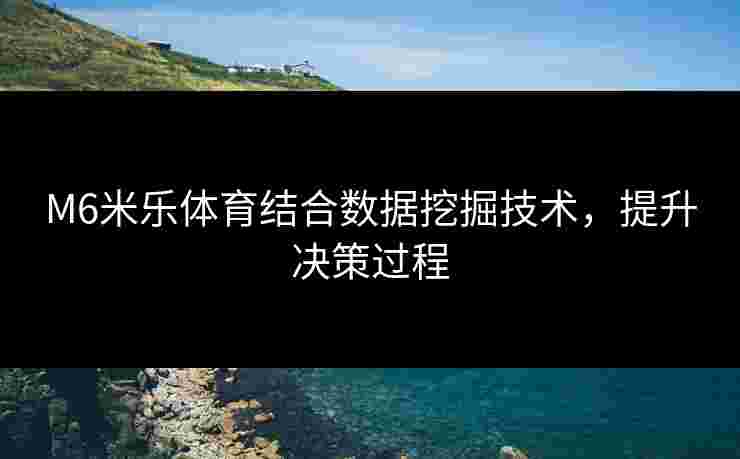 M6米乐体育结合数据挖掘技术，提升决策过程