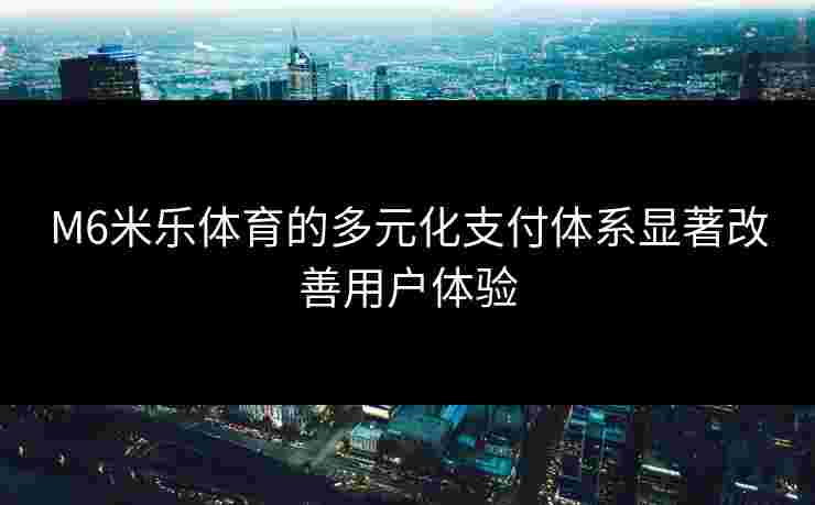 M6米乐体育的多元化支付体系显著改善用户体验